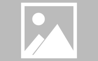 宁德论文网站建设（网站建设的论文）